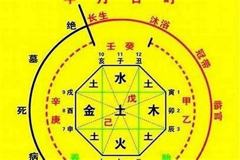 8字 五行|生辰八字算命、五行喜用神查詢（免費測算）